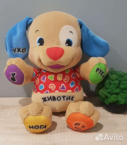 Учёный Щенок