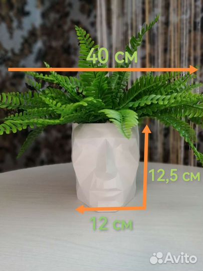 Декор для дома, офиса, студии, салона