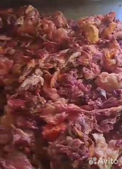 Мясо для собак