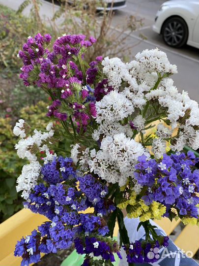 Сатица.Веточки на букет