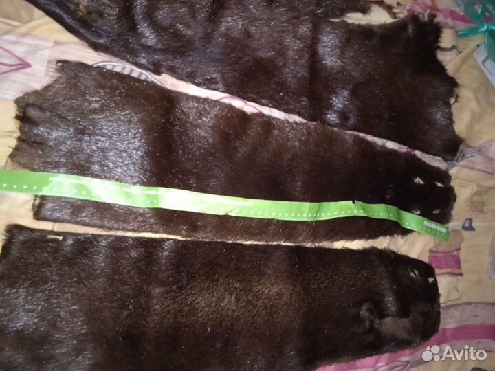 Шкурка хонорика 3шт