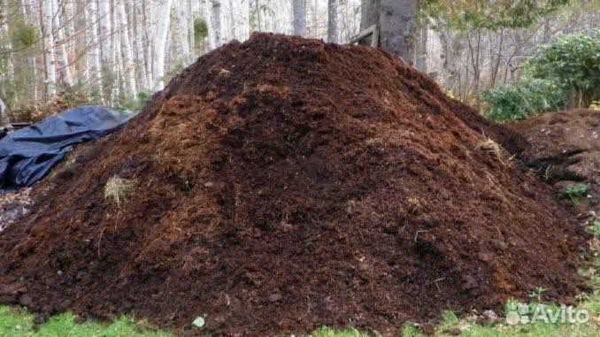 Перегной, чернозём