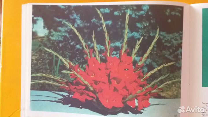 Буклет Искусство Икебаны