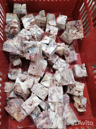 Корм для собак