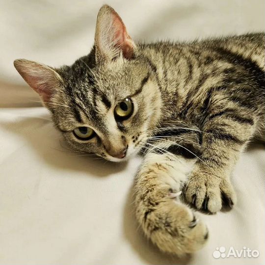 Ивочку никто не замечает