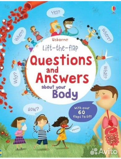 Litf the flaps Questions and answers