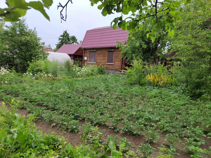 Дача 45 м² на участке 3 сот.