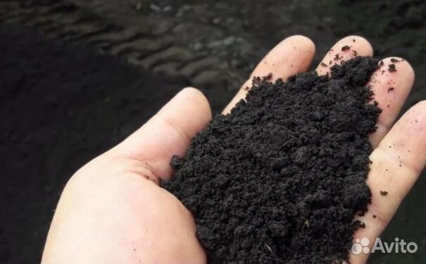 Чернозем,перегной,земля плодородная,торф,навоз