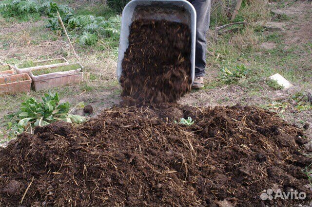 Навоз отличного качества