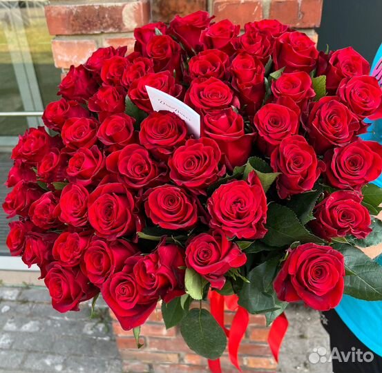 51 эквадорская роза премиум 60см