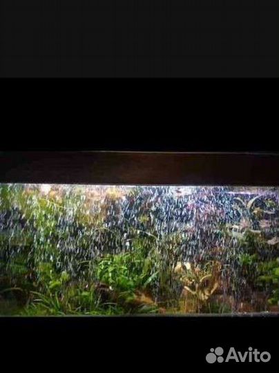 Распылитель воздуха для аквариума