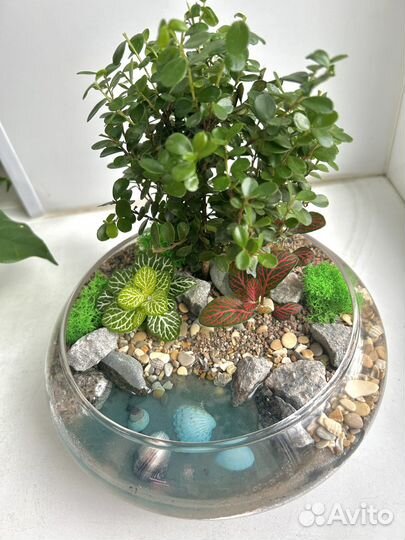 Флорариум с бонсай