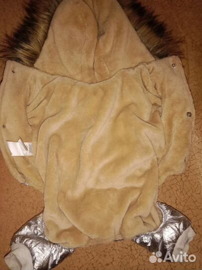 Одежда для маленьких собак