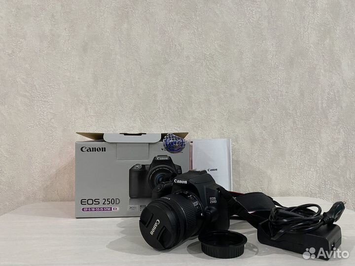 Canon EOS 250D EF-S 18-55 IS STM Kit