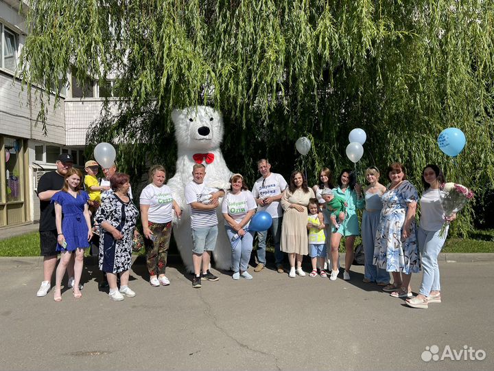 Белый мишка поздравление