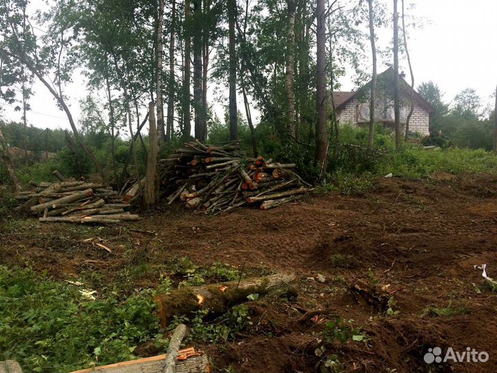 Покос травы триммером, очистка участка от деревьев