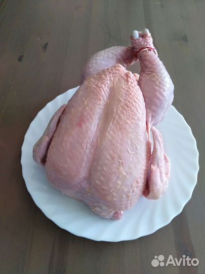 Мясо домашней курицы, индейки, утки