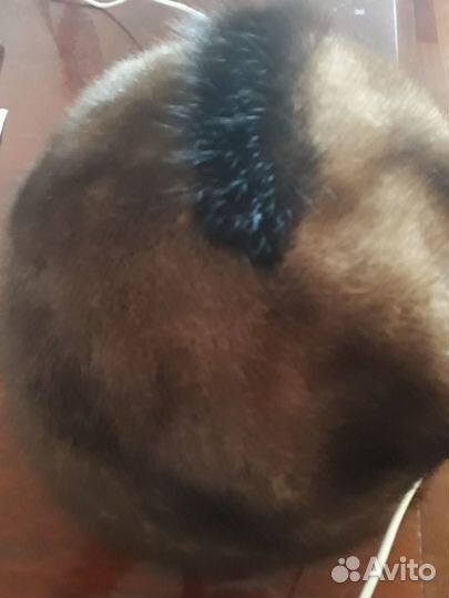Шапка женская норка коричневая,р 57-58