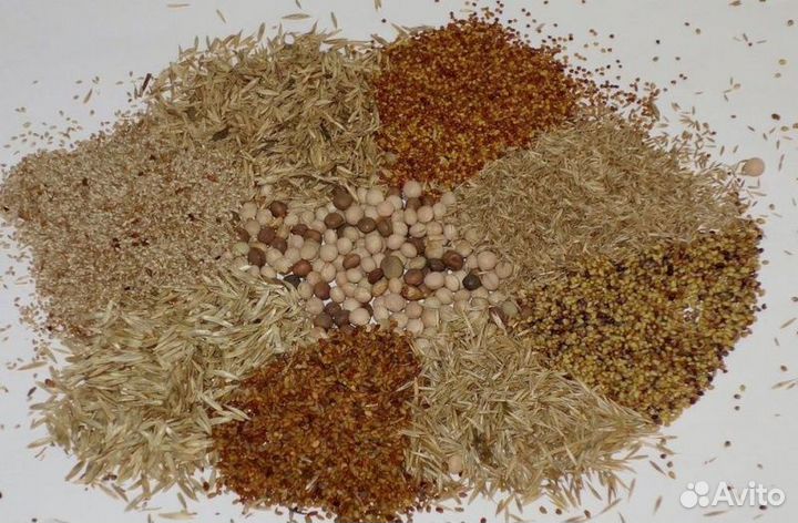 Семена трав