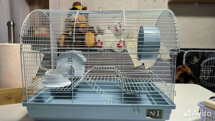 Клетка для грызунов (без крыс)