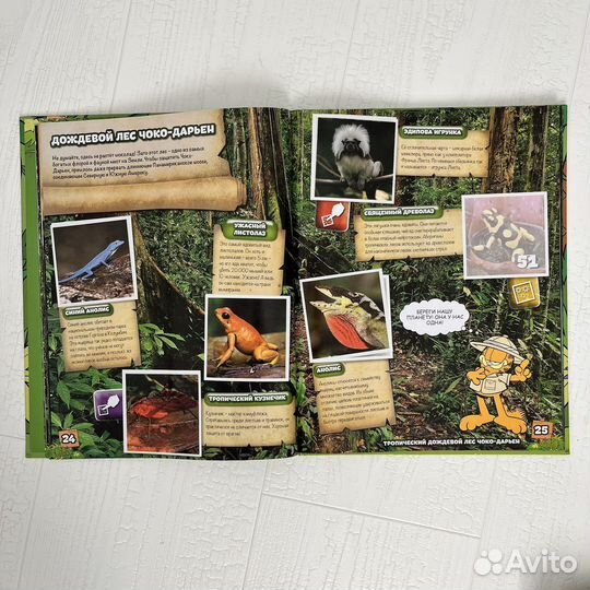 Букварь азбука книги