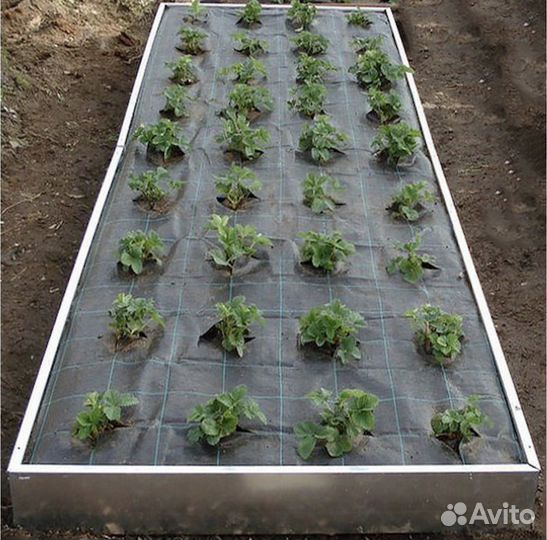 Агроткань плотность 100 гр/м2