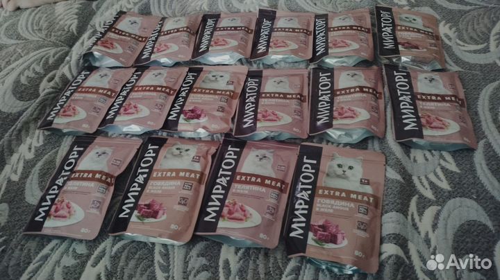 Влажный корм для кошек