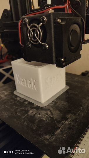 3D tevo Michelangelo