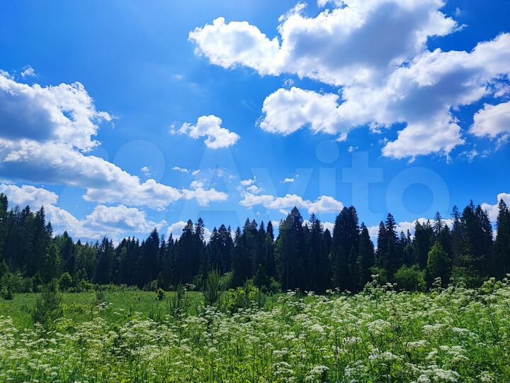 Дом 70 м² на участке 6 сот.