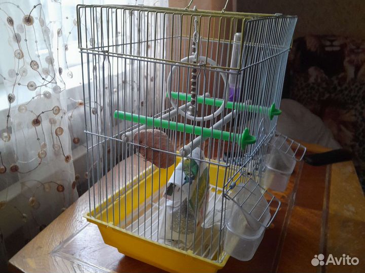 Клетка для попугая