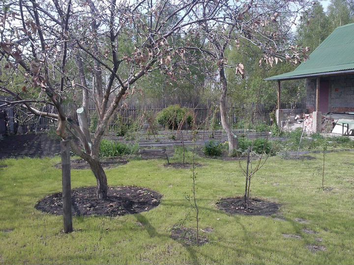 Дача 25 м² на участке 6 сот.