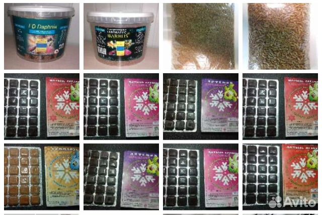 Замороженные и сушеные корма для рыб, черепах, ящ