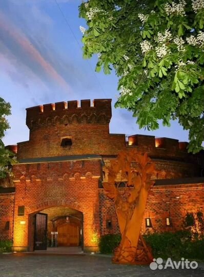 Сититур Калининград