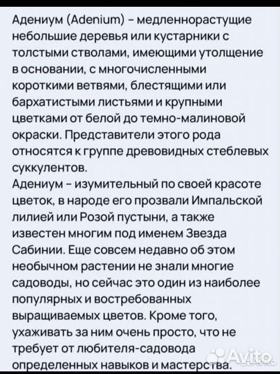 Адениумы микс