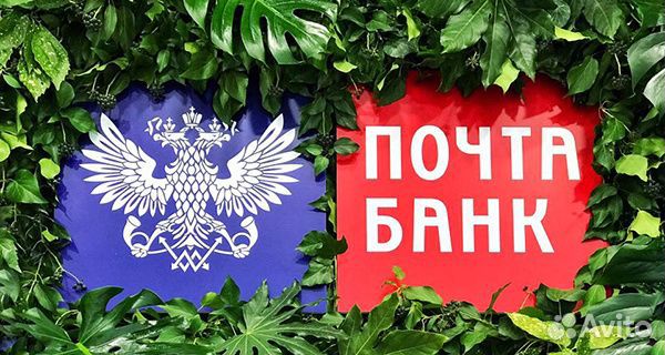 Начинающий специалист в банк