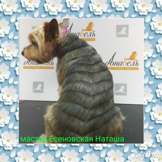 Стрижка котов и собак, тримминг