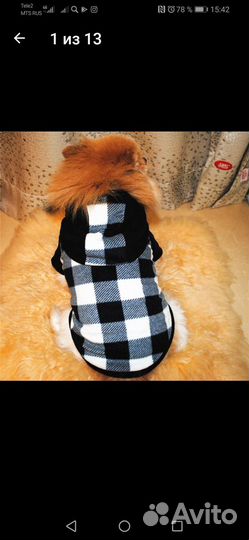 Товары для животных