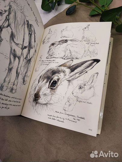 Скетчбук о дикой природе Англии