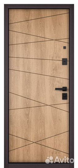 Дверь входная железная в квартиру