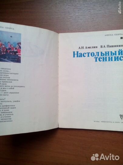 Настольный теннис. А. Амелин. 1980г