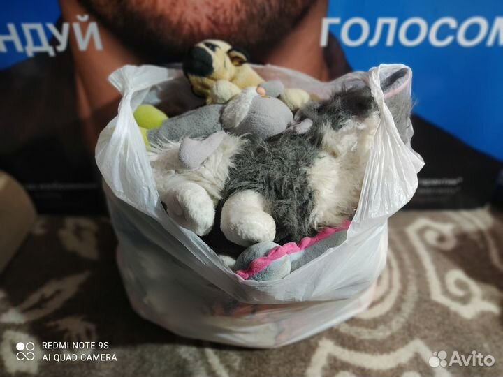 Отдам пакет мягких игрушек за шоколадку