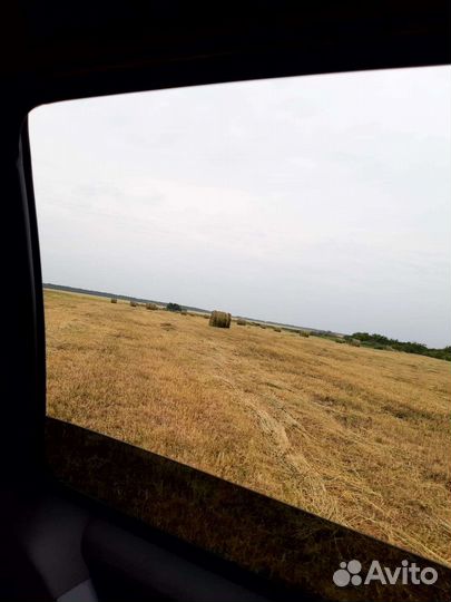 Сено-люцерка