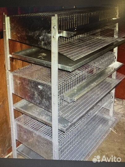 Перепелиная ферма