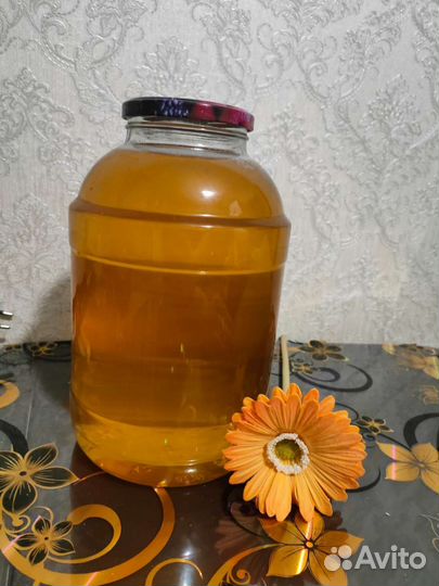 Барсучий жир