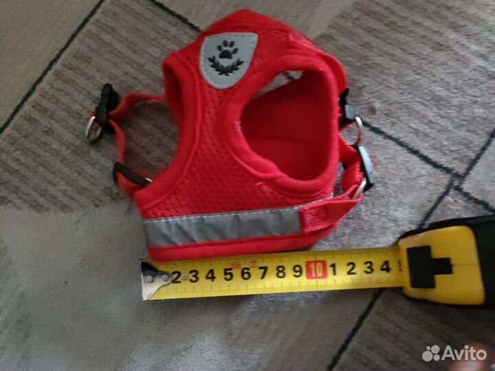 Шлейка для маленькой собаки