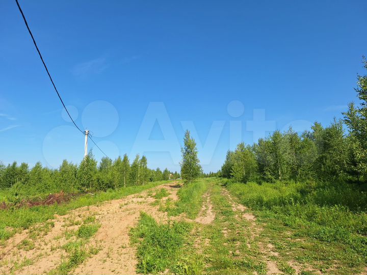 Участок 3 га (ИЖС)