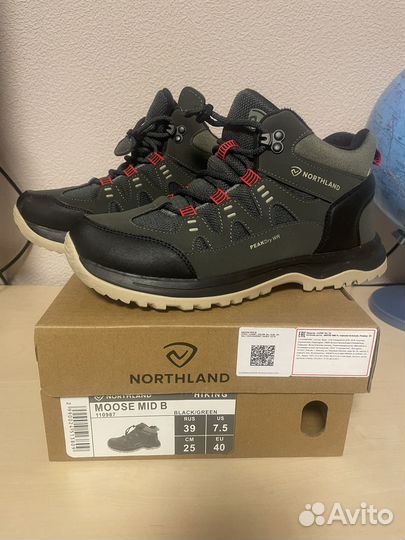 Northland 39