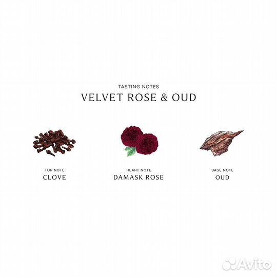 Jo malone velvet rose oud rich