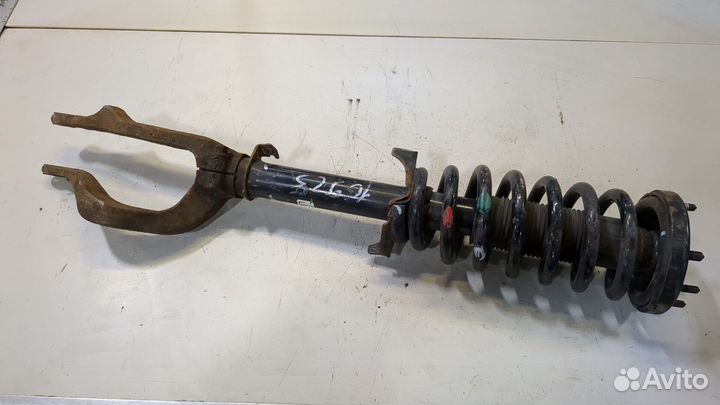 Амортизатор подвески Honda Crosstour, 2012