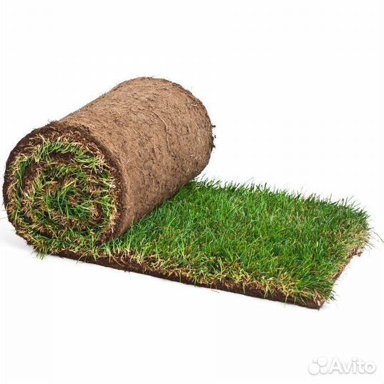 Рулонный газон Полный цикл